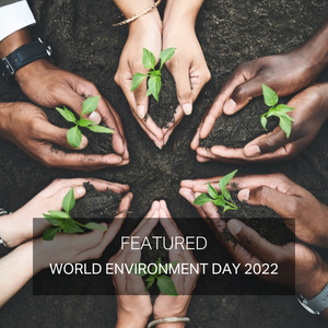 World Environment Day 2022